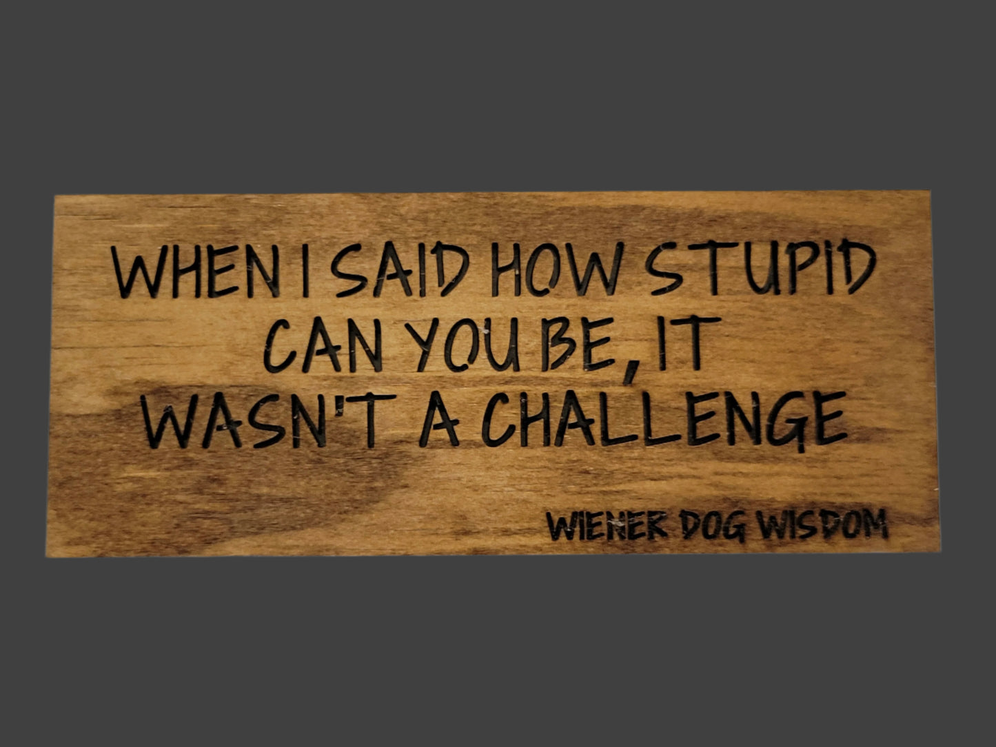 WHEN I SAID HOW STUPID CAN YOU BE IT WASN'T A CHALLENGE