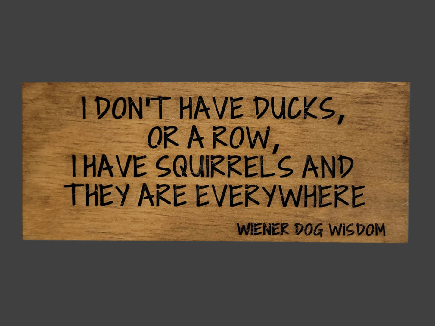 I DON'T HAVE DUCKS OR A ROW I HAVE SQUIRRELS AND THEY ARE EVERYWHERE