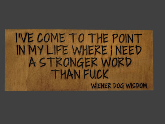 WDW 10105 I'VE COME TO A POINT IN MY LIFE WHERE I NEED A STRONGER WORD THAN FUCK