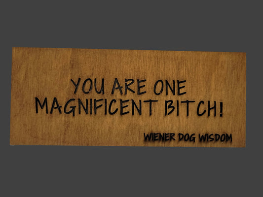 YOU ARE ONE MAGNIFICENT BITCH