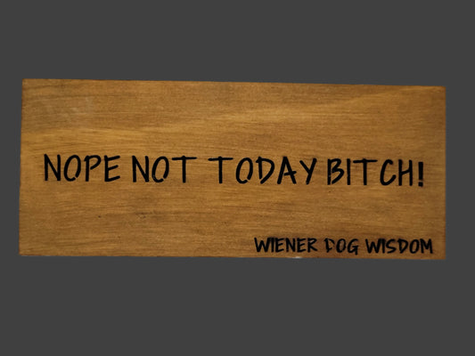 NOPE NOT TODAY BITCH
