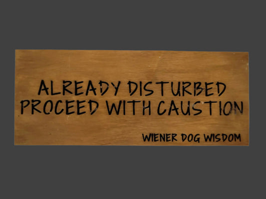 WDW 10129 "ALREADY DISTURBED, PROCEED WITH CAUTION"