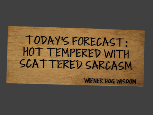 TODAY'S FORECAST: HOT TEMPERED WITH A SCATTERED SARCASM