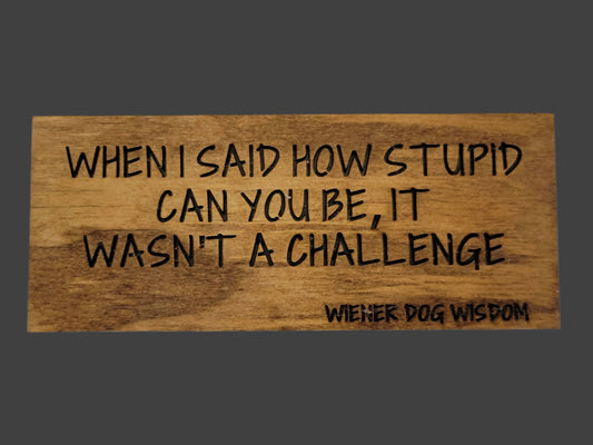 WHEN I SAID HOW STUPID CAN YOU BE IT WASN'T A CHALLENGE