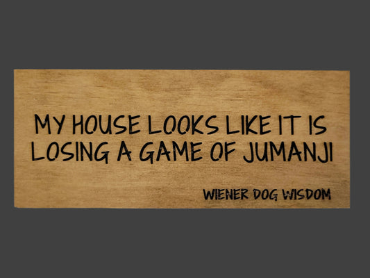MY HOUSE LOOKS LIKE IT'S LOSING A GAME OF JUMANJI