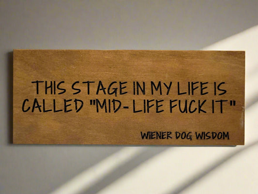 THIS STAGE IN MY LIFE IS CALLED MID-LIFE FUCK IT