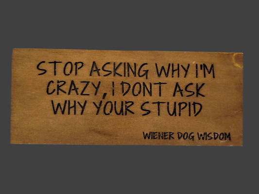 STOP ASKING WHY I'M CRAZY, I DON'T ASK WHY YOUR STUPID