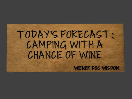 TODAY'S FORECAST: CAMPING WITH A CHANCE OF WINE